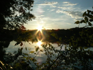 Pony Pasture Sunset by Susan Hribernik